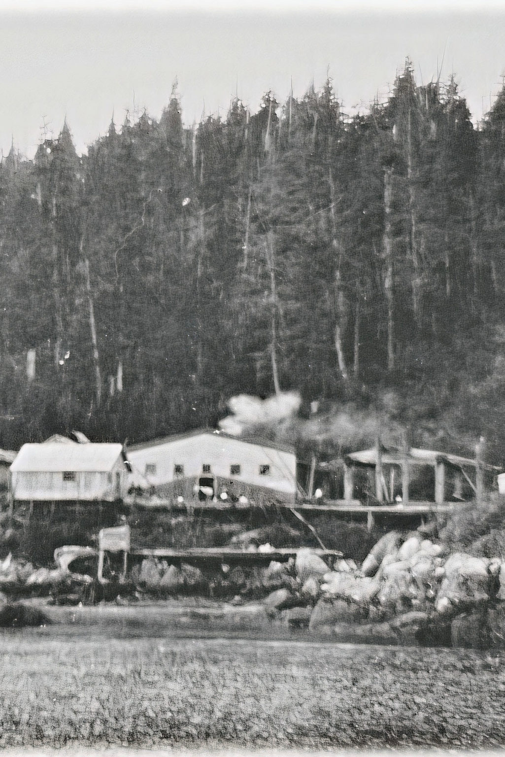 Home - Gwa'sala-'Nakwaxda'xw Nations